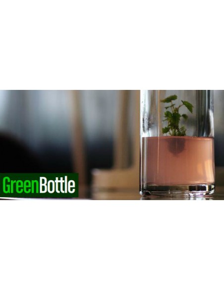 GreenBottle Kendo