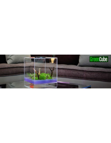 GreenCube