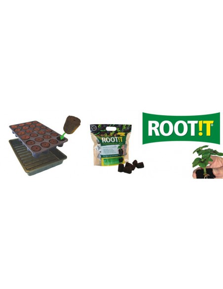 Root!t
