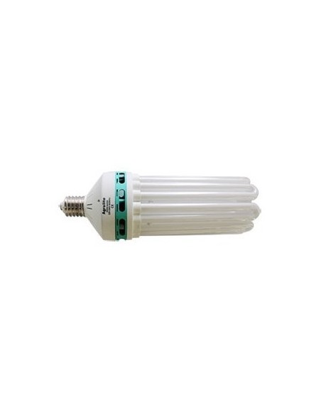 Ampoules CFL