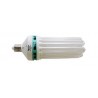 Ampoules CFL