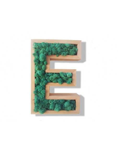 Alphabet Végétal
