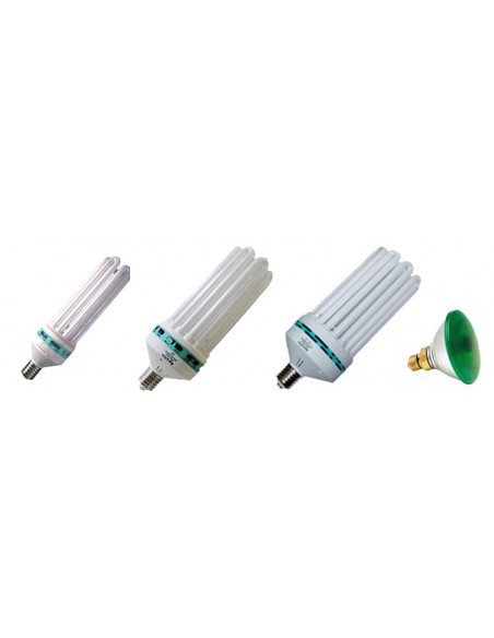 Ampoules éco / CFL
