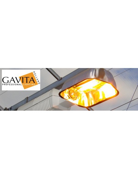 Gavita