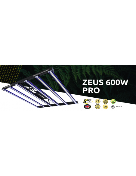 LED