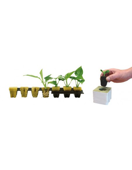 Substrat pour bouture