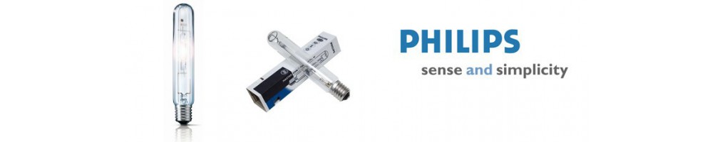 Ampoules Philips