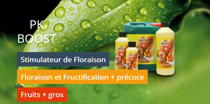 Stimulateur De Floraison Bio BAC Organic PK Booster - 500 Ml, Pour Des Bourgeons Gros Et Denses